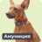 Амуниция