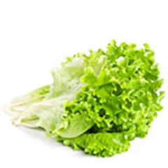 sorta-salata.jpg