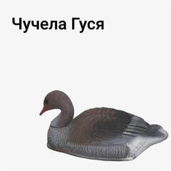 Гусь