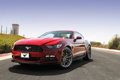 Mustang 6 S550 (VI-ого поколения)