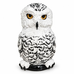 rutvor_category_21091583_white.jpg