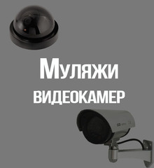 Муляжи камер