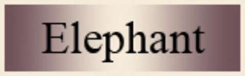 Elephant