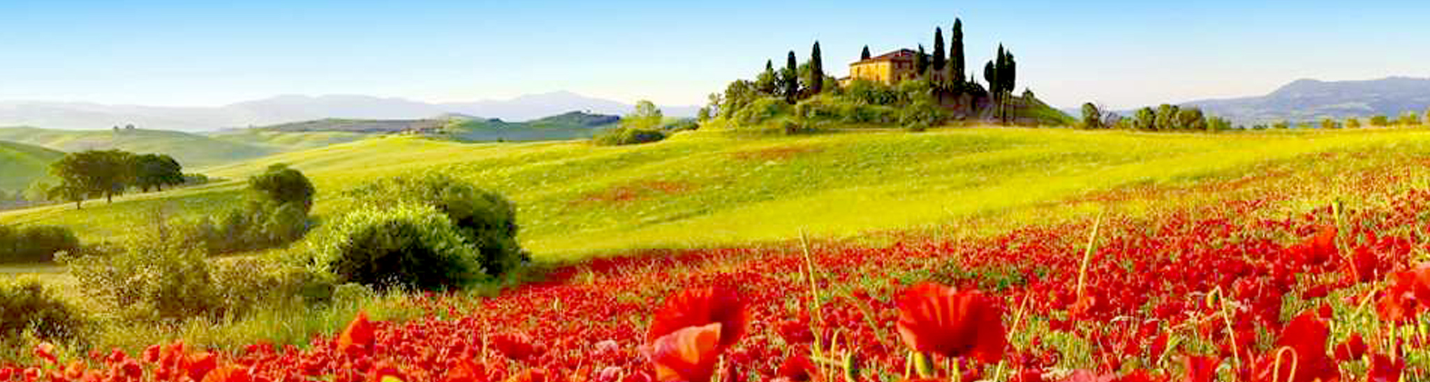 ECO | BIO I ORGANIC