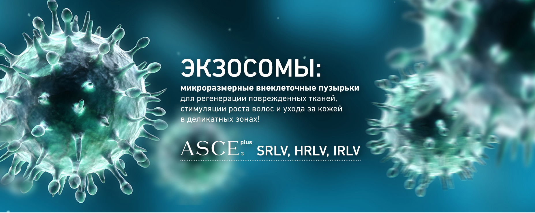 ASCE+