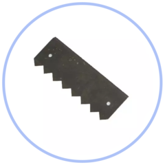 nz.png