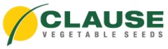 Логотип Clause