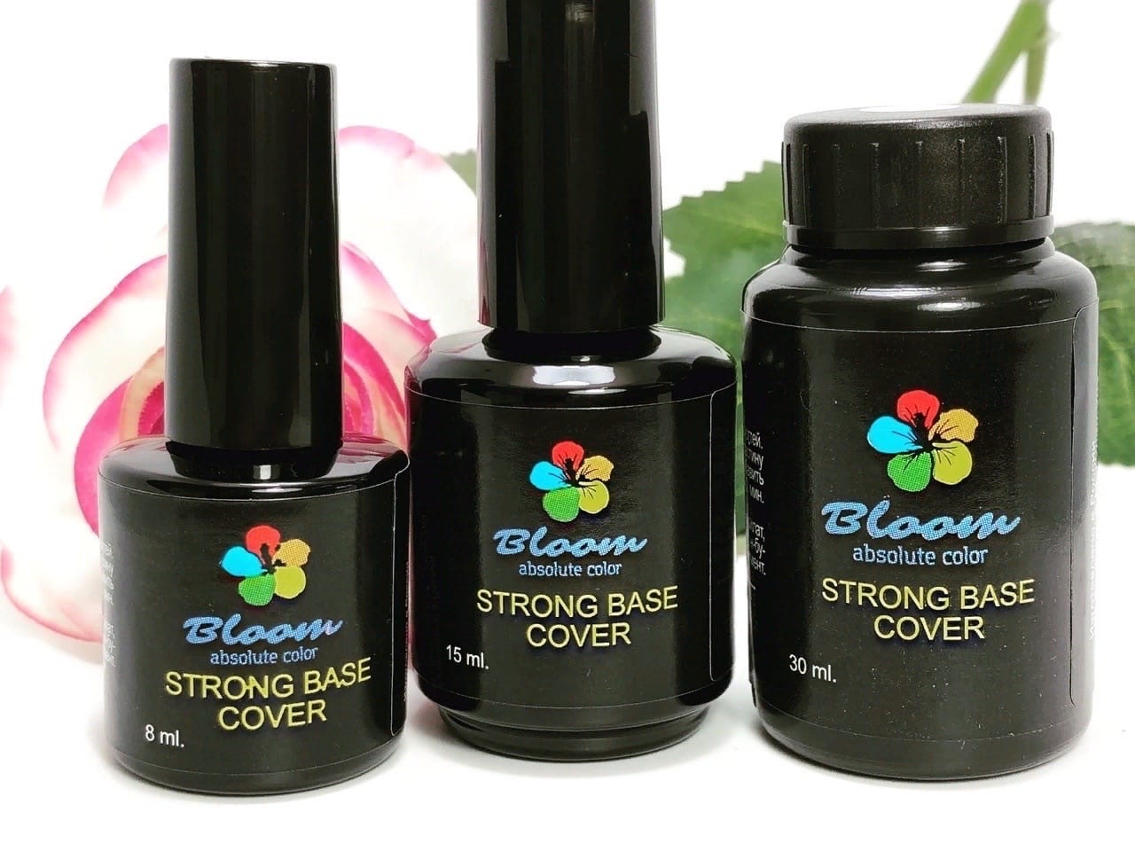 Bloom