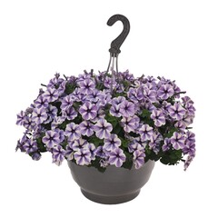 3265 Петуния SWEETUNIA STARFISH (ОСЕНЬ 2025)