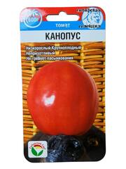 Томат Канопус (Сибирский Сад)