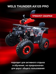 Подростковый бензиновый квадроцикл Wels AX125 PRO