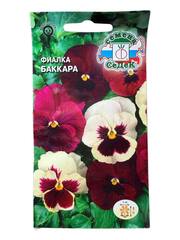 Фиалка Баккара (Седек)