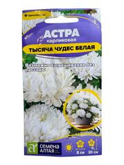 Астра Тысяча чудес белая карликовая (Семена Алтая)