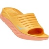 AMBER YELLOW / SHELL CORAL