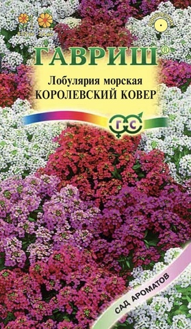 Семена Лобулярия морская  Королевский ковер