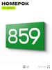 Номер на дверь 859, табличка на дверь для офиса, квартиры, кабинета, аудитории, склада, зеленая 120х70 мм, Айдентика Технолоджи