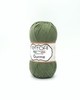 ETROFIL GURME (100% Антипиллинг акрил,100гр/350м) 74022 - Папоротник