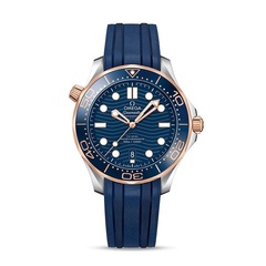 Omega 21022422003002