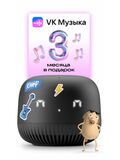 Умная колонка VK Капсула Нео, черный