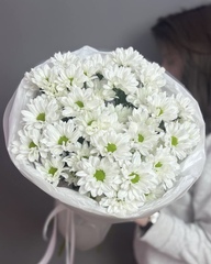 Букет из 5 кустовых ромашковых хризантем