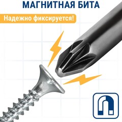 Бита отверточная ПРАКТИКА Профи PZ-2 х 50мм (2шт) (035-745)