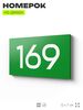 Номер на дверь 169, табличка на дверь для офиса, квартиры, кабинета, аудитории, склада, зеленая 120х70 мм, Айдентика Технолоджи
