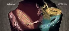 Промокшие насквозь