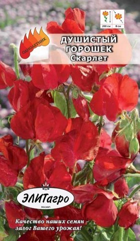 Семена Душистый горошек Скарлет красный, Одн
