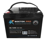 Аккумулятор ВОСТОК PRO СК 1255 ( 12V 55Ah / 12В 55Ач ) - фотография