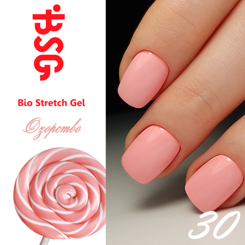 BSG №29 Озорство купить за 450&nbsp;руб