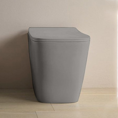 ArtCeram A16 ASV004 15 00 GRIGIO OLIVA Унитаз напольный, цвет: серый фото