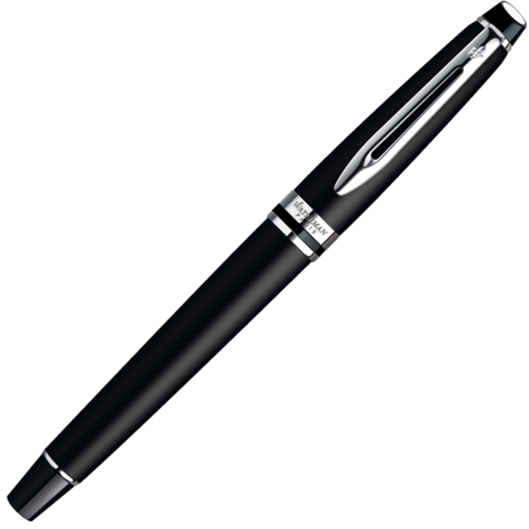 Ручка-роллер Waterman Expert Matte Black CT (S0951880)