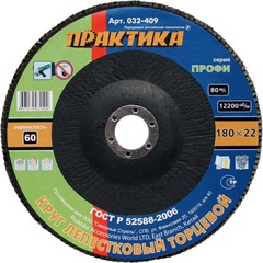 Круг лепестковый шлифовальный ПРАКТИКА 180 х 22 мм Р60  серия Профи (032-409)