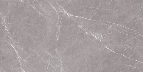 ARTCER Stone Monte Grey Carving 60x120