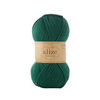 Wooltime Alize (532)