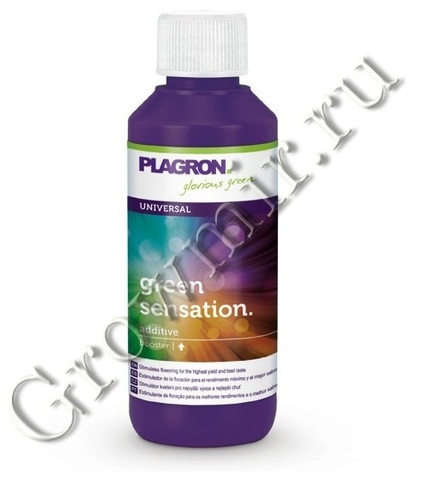 Green sensation 50 ml