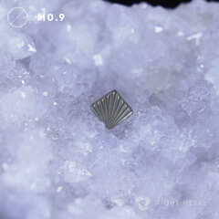 Shell Texture