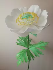 МАСТЕР-КЛАСС  