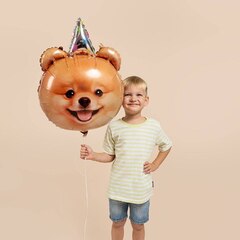 Шар К Фигура, Голова, Собачка в колпачке, 28