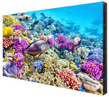 Панель LCD EliteBoard BK557FFLE