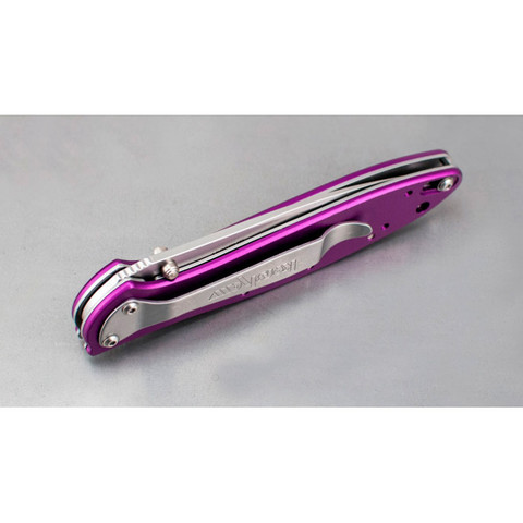 Нож Kershaw Leek 1660PUR