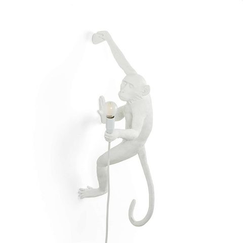 Фото: Настенный светильник Monkey Lamp Outdoor Hanging Right - основной вид