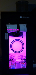 Homebox Evolution Q30 30x30x60