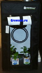 Homebox Evolution Q30 30x30x60