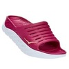 FESTIVAL FUCHSIA / BUTTERFLY
