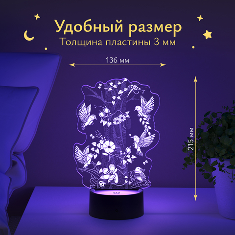 Ночник 