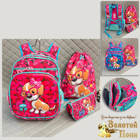 Рюкзак девочке (30х40х16) 230611-SH727