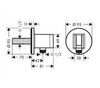 Hansgrohe Fixfit S 26888340 Шланговое подключение с держателем ручного душа (чёрный хром шлифованный)