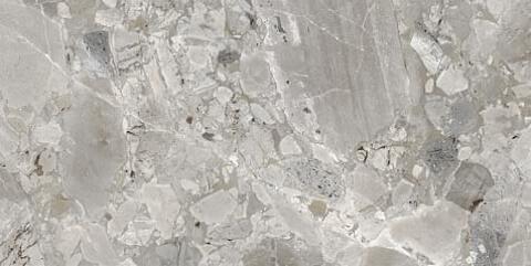 Fioranese Fusion Wildflower Ash 60.4x120.8