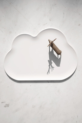 Органайзер для мелочей cloud
